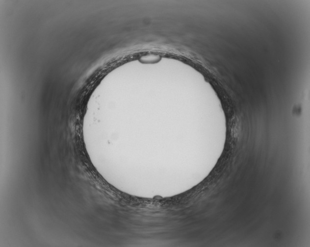 X0000115721495200912101416