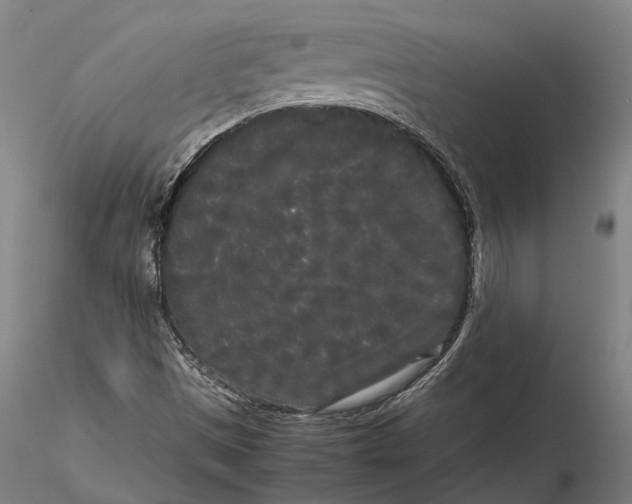 X0000115721497200912101416