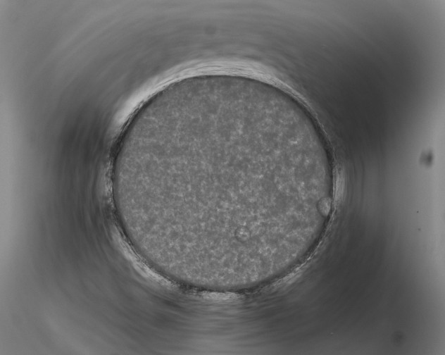 X0000115721498200912101416