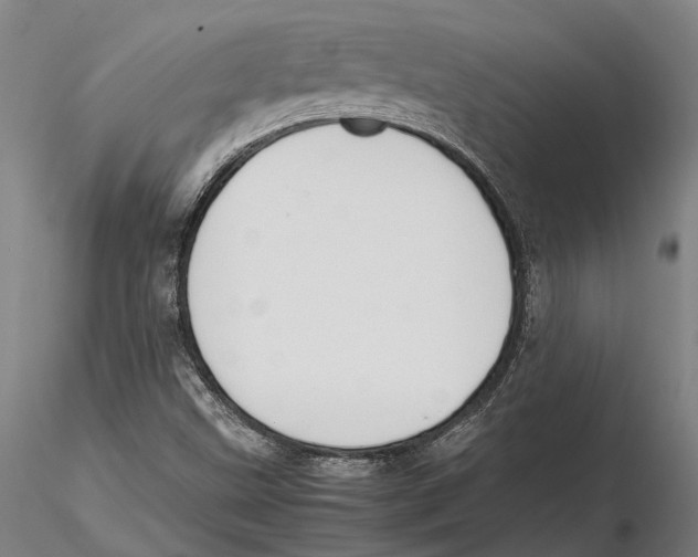 X0000115721499200912101416