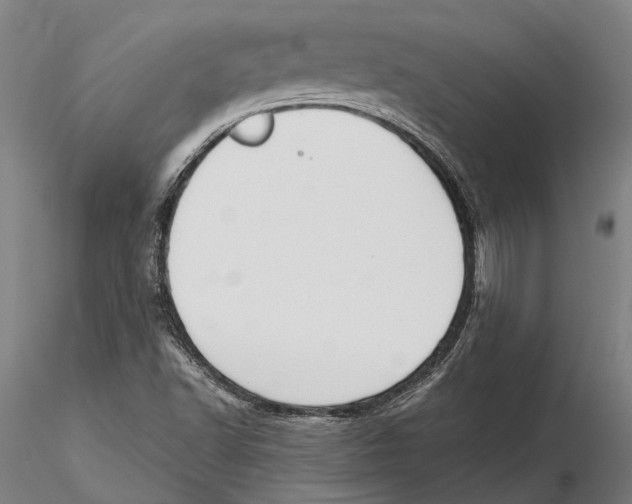 X0000115721502200912101416