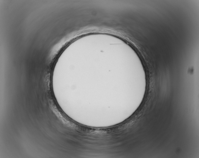 X0000115721503200912101416