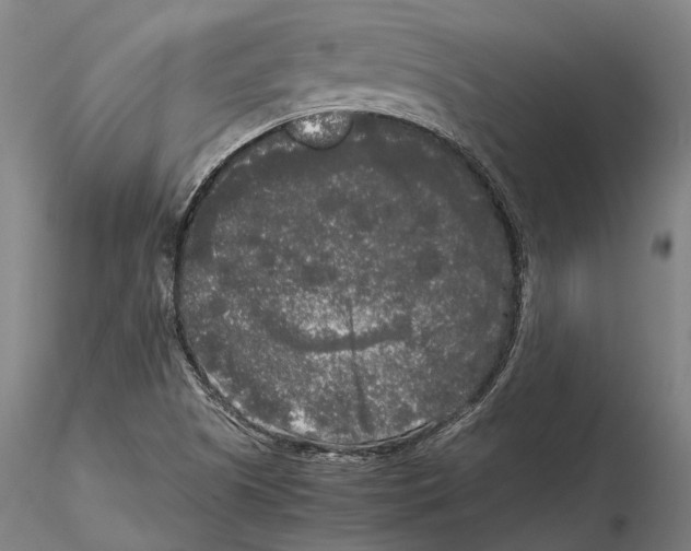 X0000115721505200912101416
