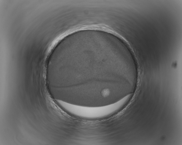 X0000115721506200912101416