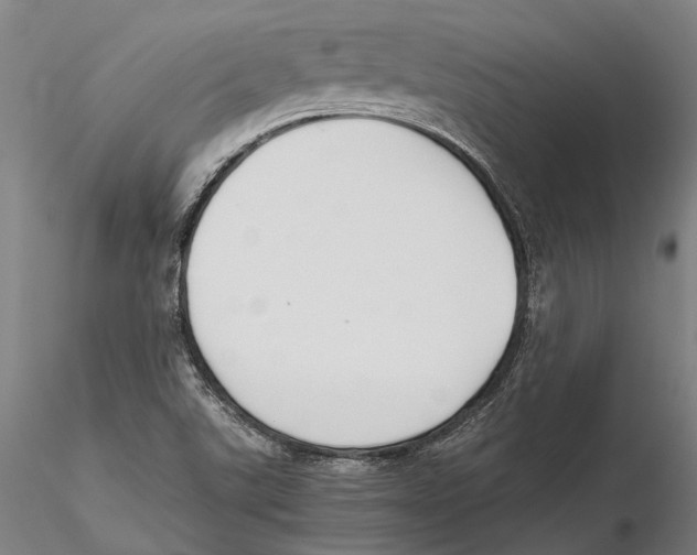 X0000115721507200912101416