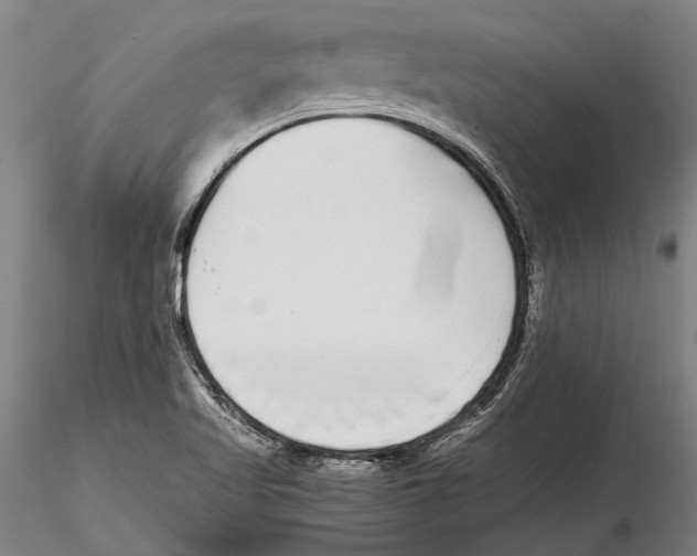 X0000115721509200912101416