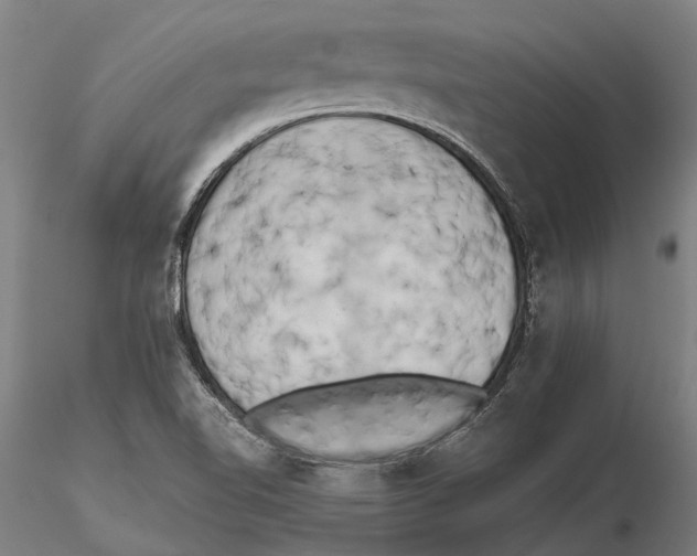 X0000115721510200912101416