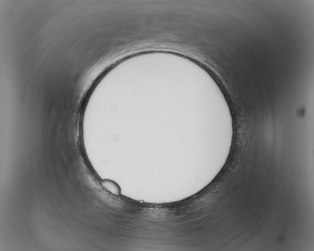 X0000115721511200912101416