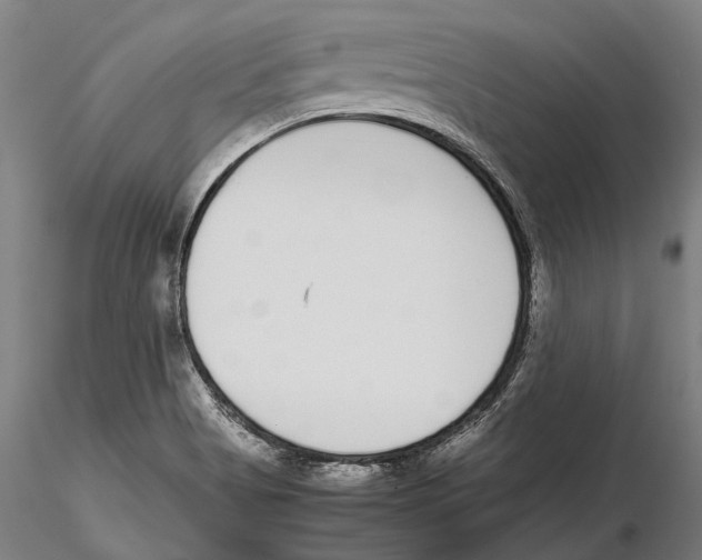 X0000115721513200912101416