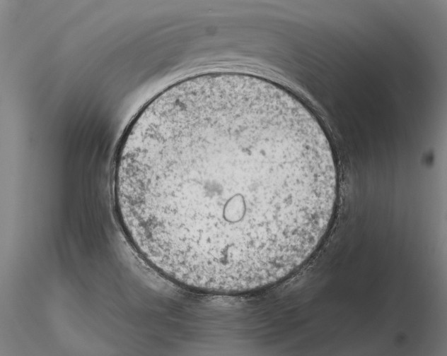 X0000115721514200912101416