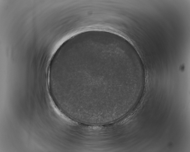X0000115721515200912101416