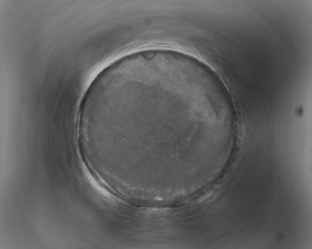 X0000115721519200912101416