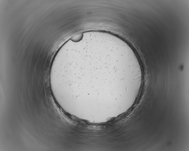 X0000115721521200912101416