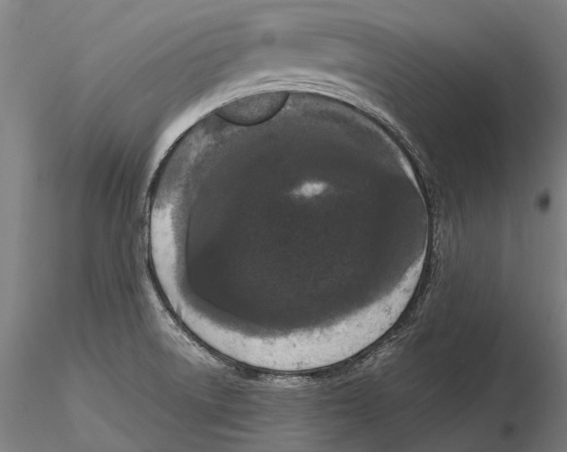 X0000115721522200912101416