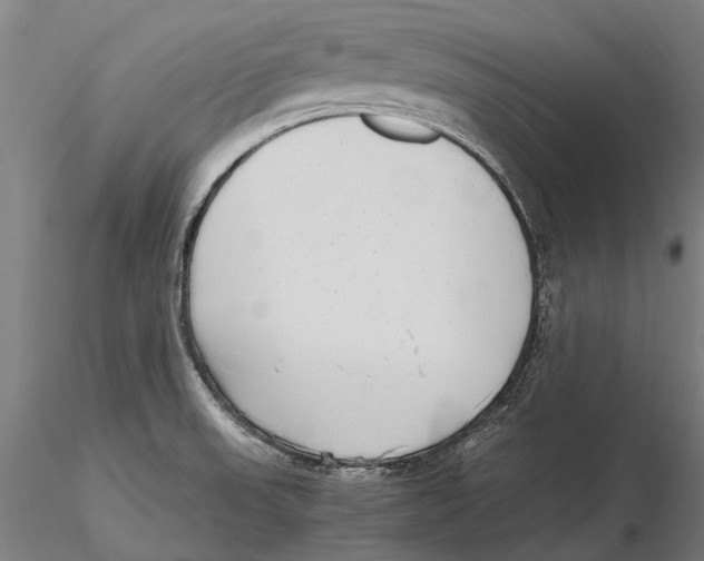 X0000115721523200912101416