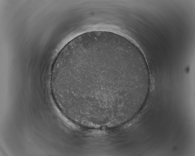 X0000115721525200912101416