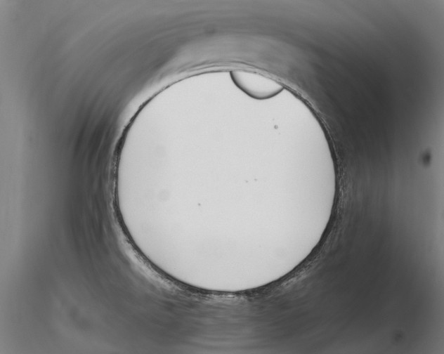 X0000115721526200912101416