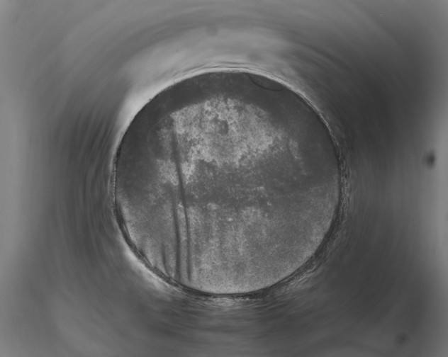 X0000115721527200912101416
