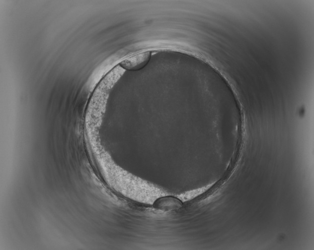 X0000115721529200912101416