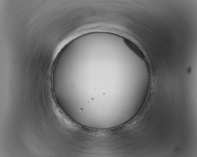 X0000115721530200912101416