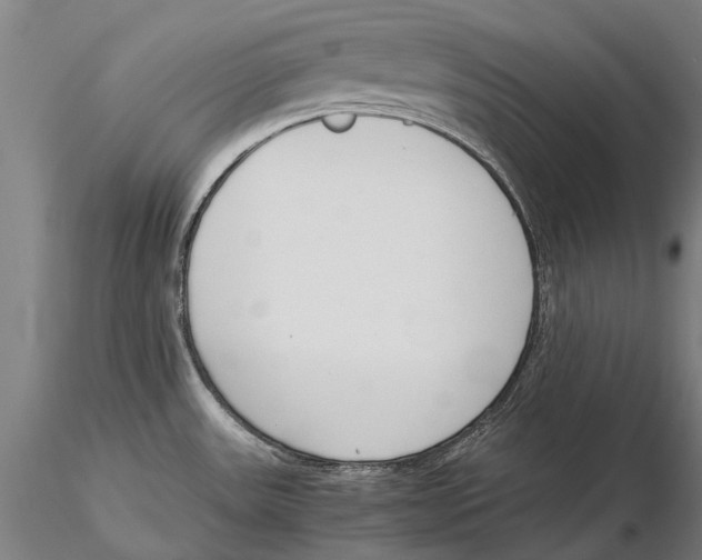 X0000115721531200912101416