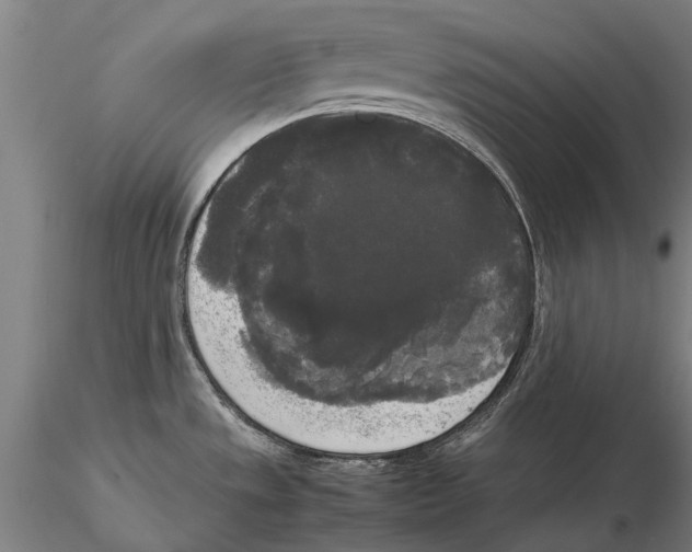 X0000115721533200912101416