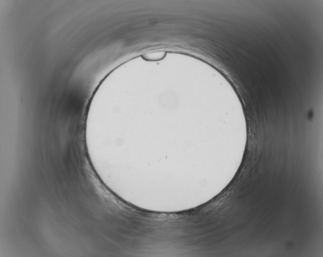 X0000115721534200912101417