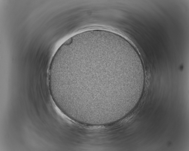 X0000115721535200912101417