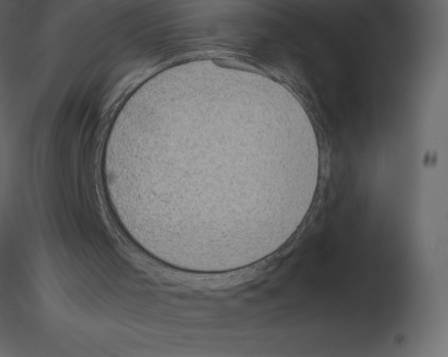X0000115720001200912241614