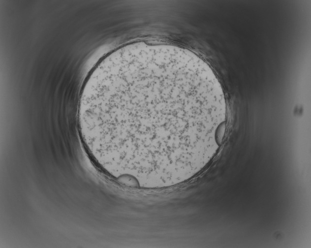 X0000115720003200912241614
