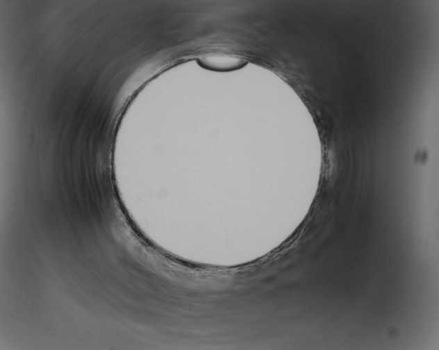 X0000115720004200912241614