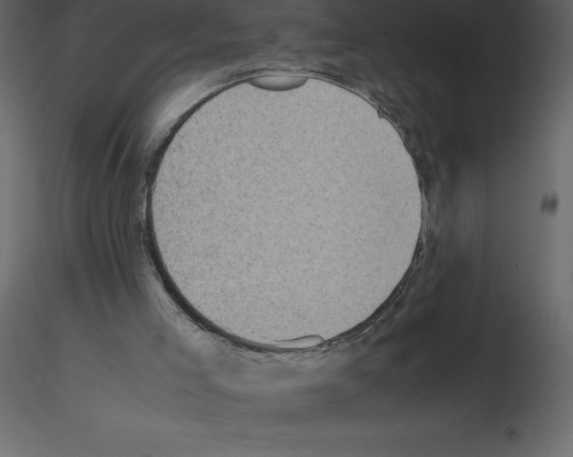 X0000115720005200912241614