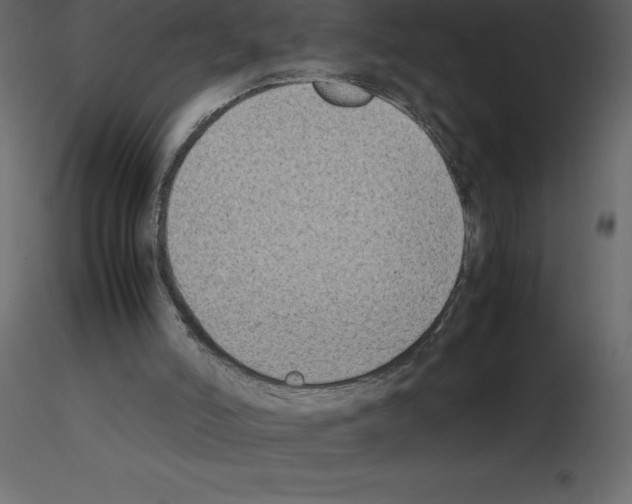 X0000115720006200912241614