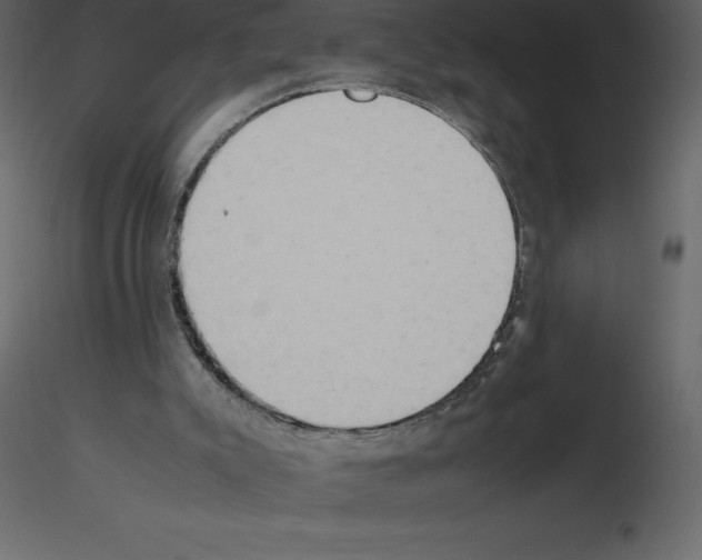 X0000115720007200912241614