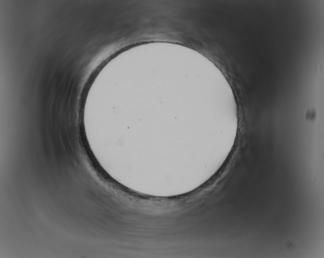 X0000115720008200912241614