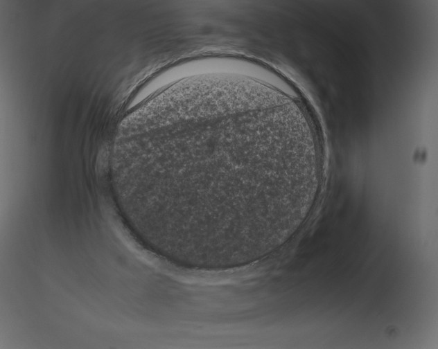 X0000115720009200912241614