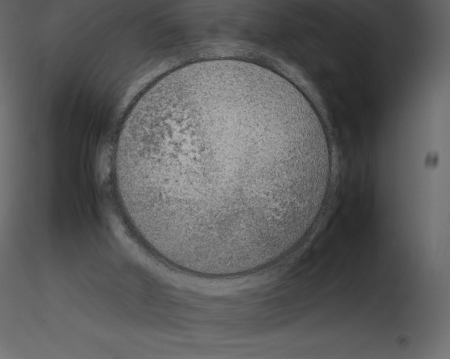 X0000115720010200912241614