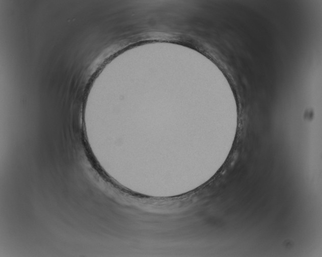 X0000115720011200912241614