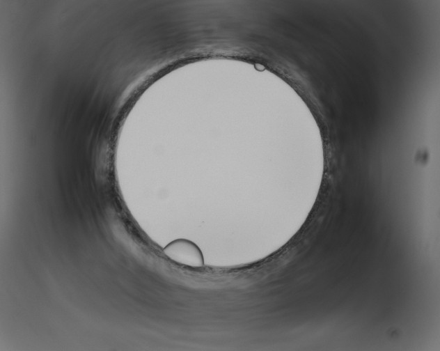X0000115720012200912241614