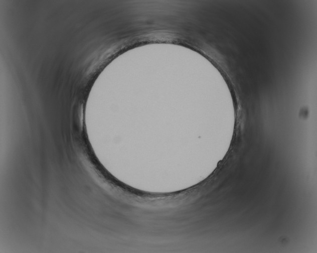 X0000115720013200912241614
