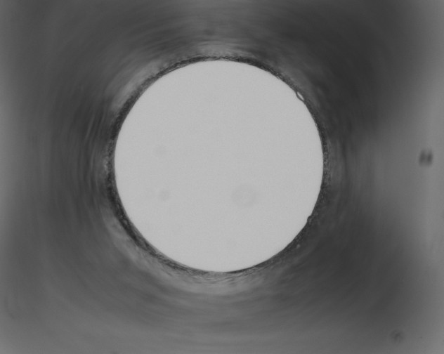 X0000115720015200912241614