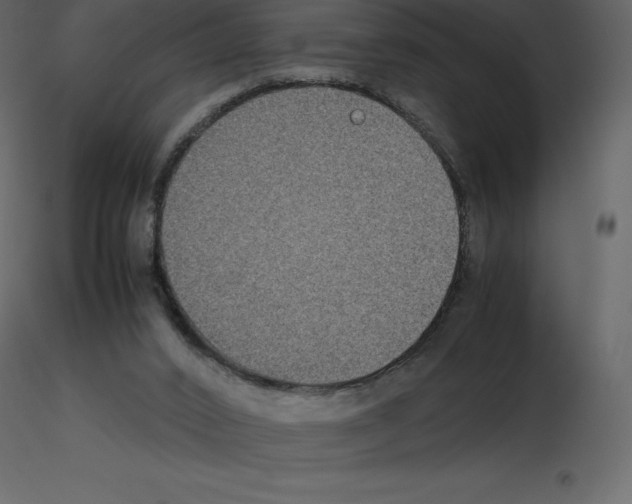 X0000115720016200912241614