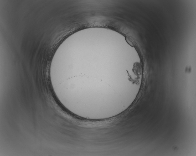 X0000115720017200912241614