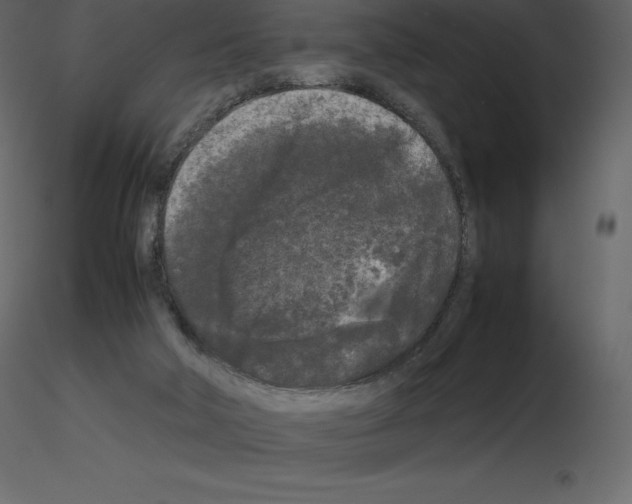 X0000115720018200912241614