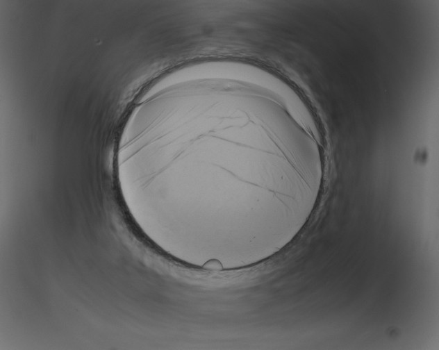 X0000115720019200912241614