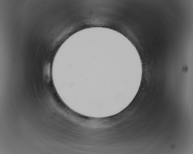 X0000115720020200912241614