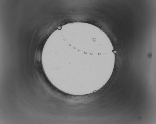 X0000115720021200912241614