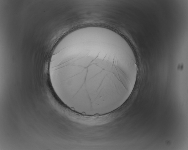 X0000115720023200912241614