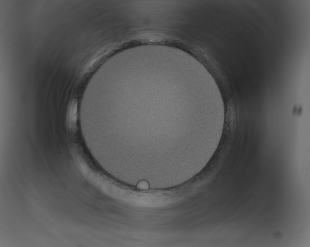 X0000115720024200912241614