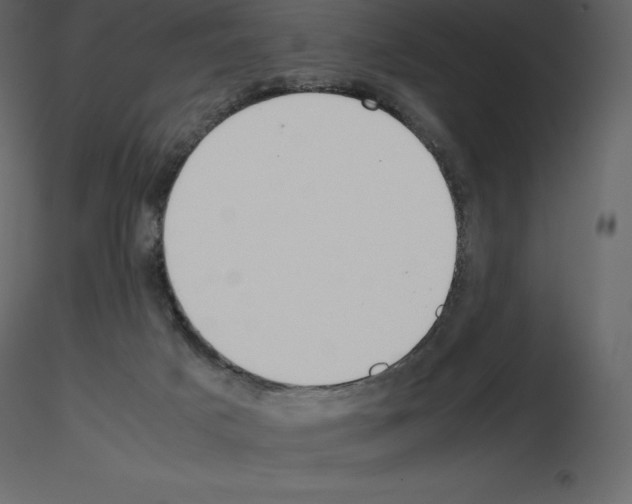 X0000115720025200912241614